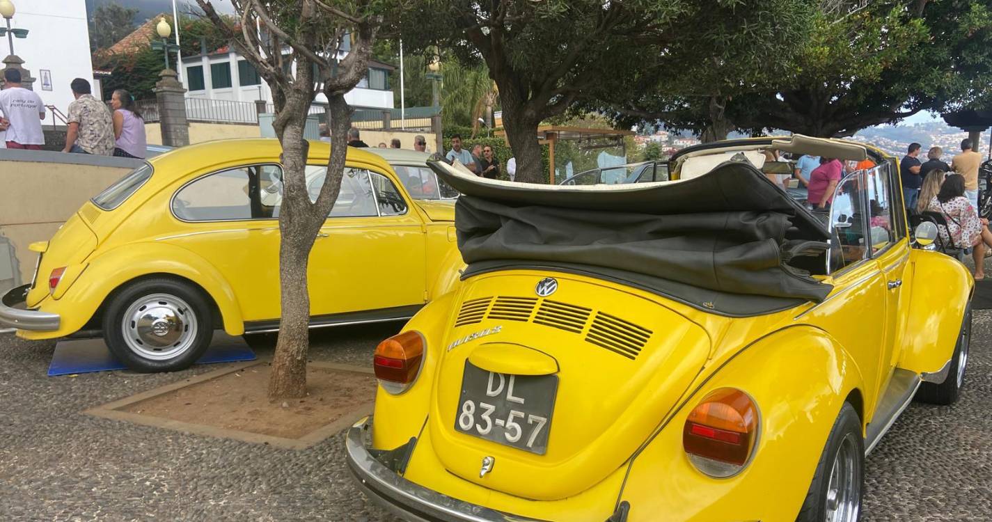 Veja os automóveis que animam o 1.º São Roque Classic Show