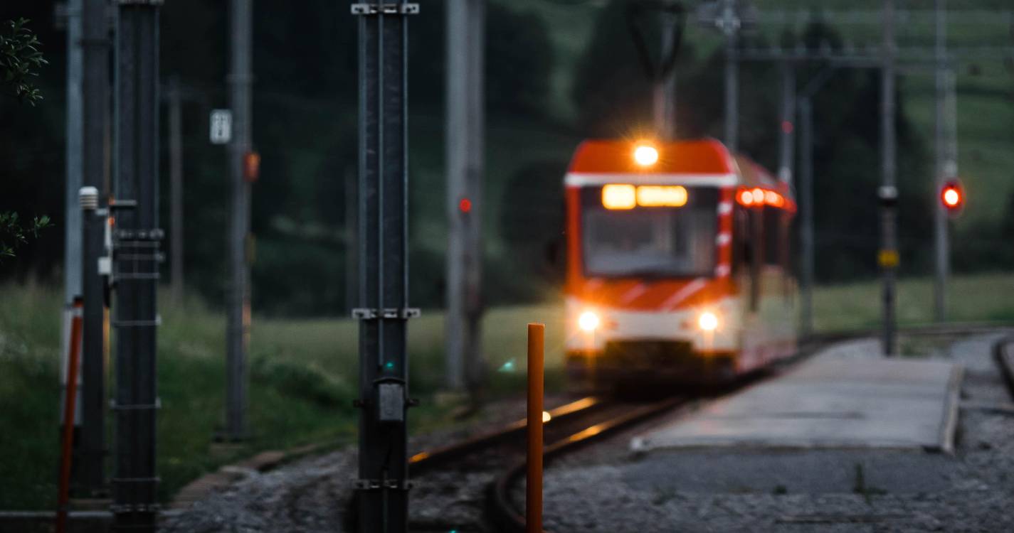 Automobilista nonagenário morreu abalroado por comboio em Santarém