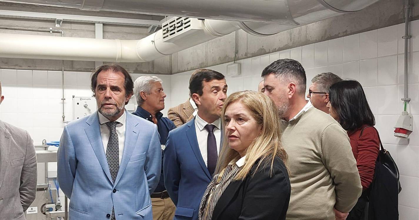 Mobilidade: Albuquerque espera que suspensão de “medida discriminatória” seja “para sempre”