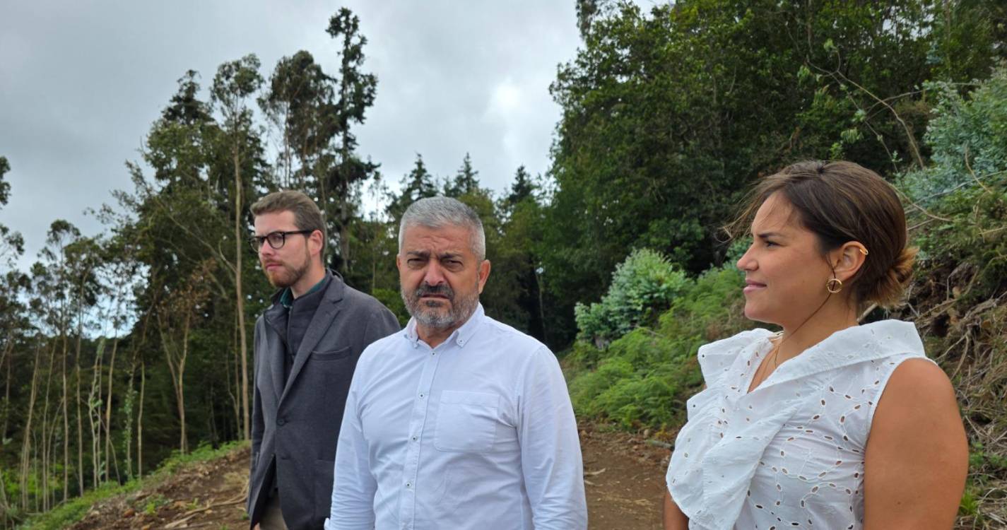 Saturnino Sousa quer criar Parque Empresarial no Santo da Serra