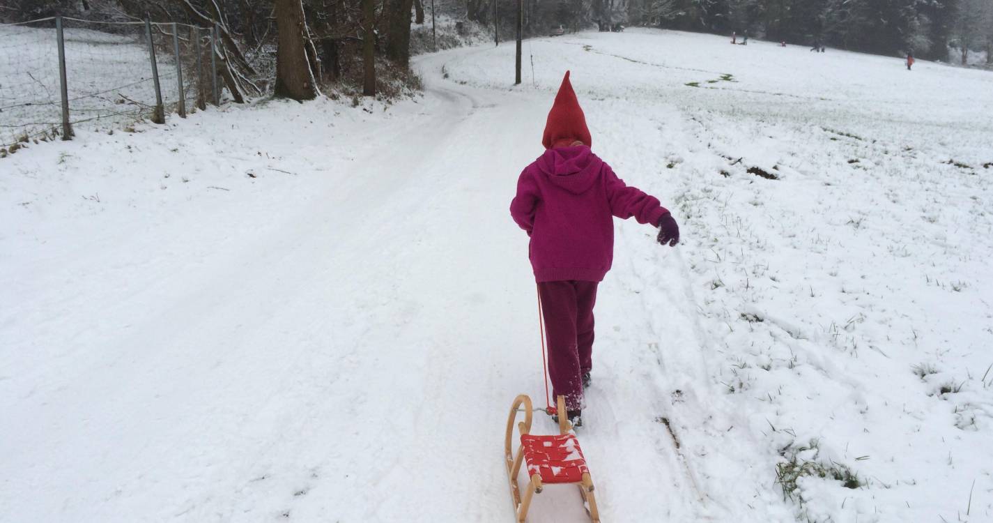 Alunos de Montalegre regressaram a casa mais cedo por causa da neve (com vídeo)