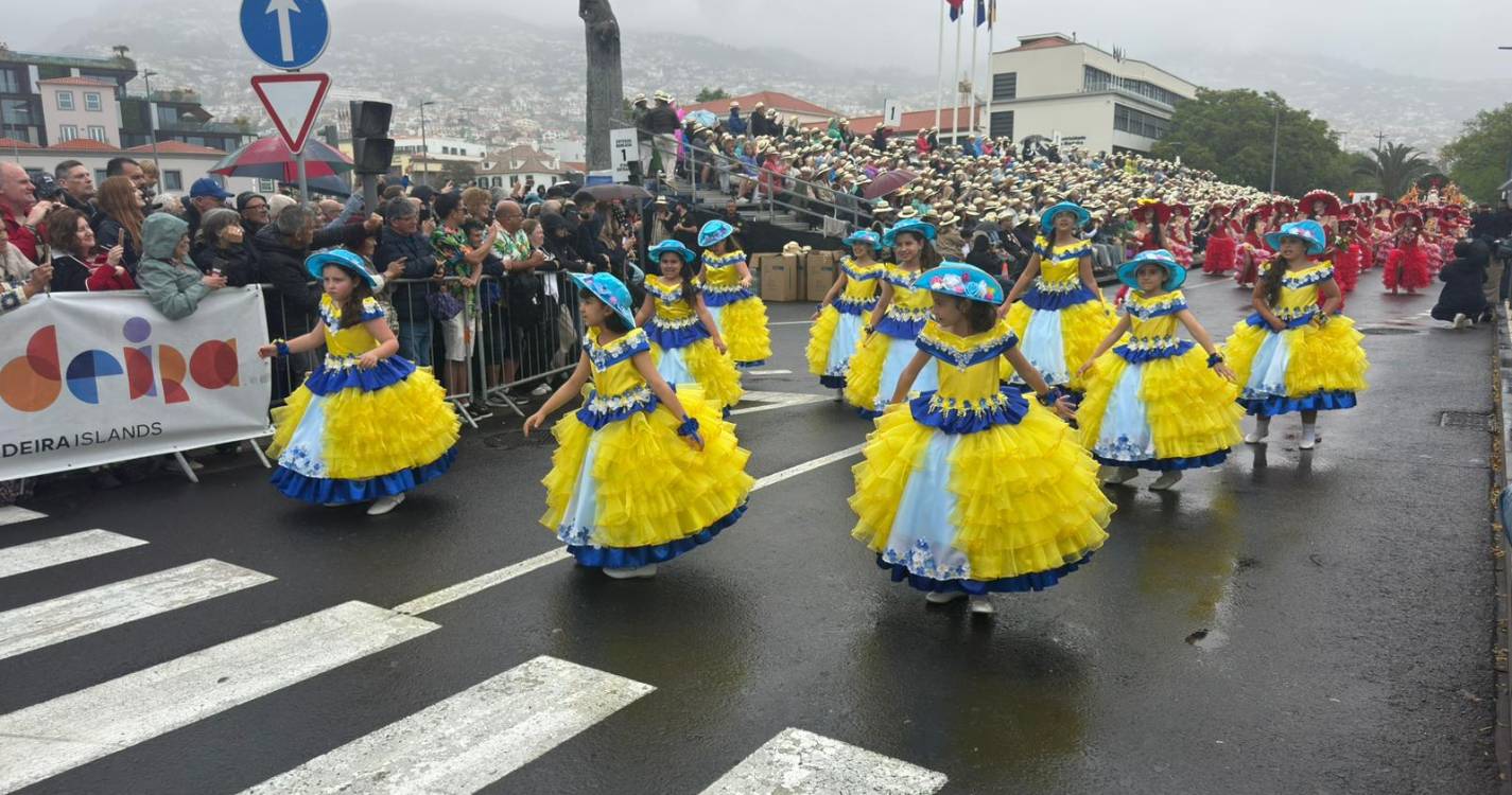 Veja como foi o primeiro cortejo da Festa da Flor (com fotos)