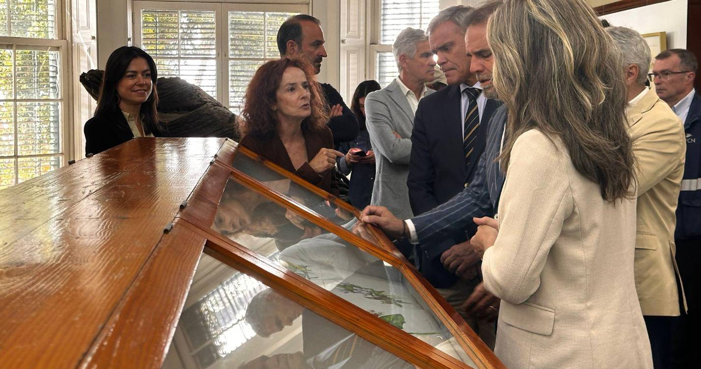 Jardim Botânico recebe 400 mil visitantes por ano