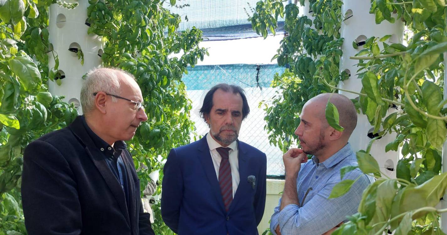 Adiar eleições “seria completamente ridículo”, diz Albuquerque