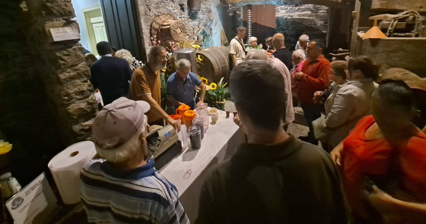 São Martinho já come o bacalhau e prova o vinho