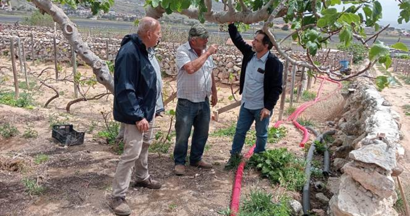 Agricultores do Porto Santo recebem apoio técnico