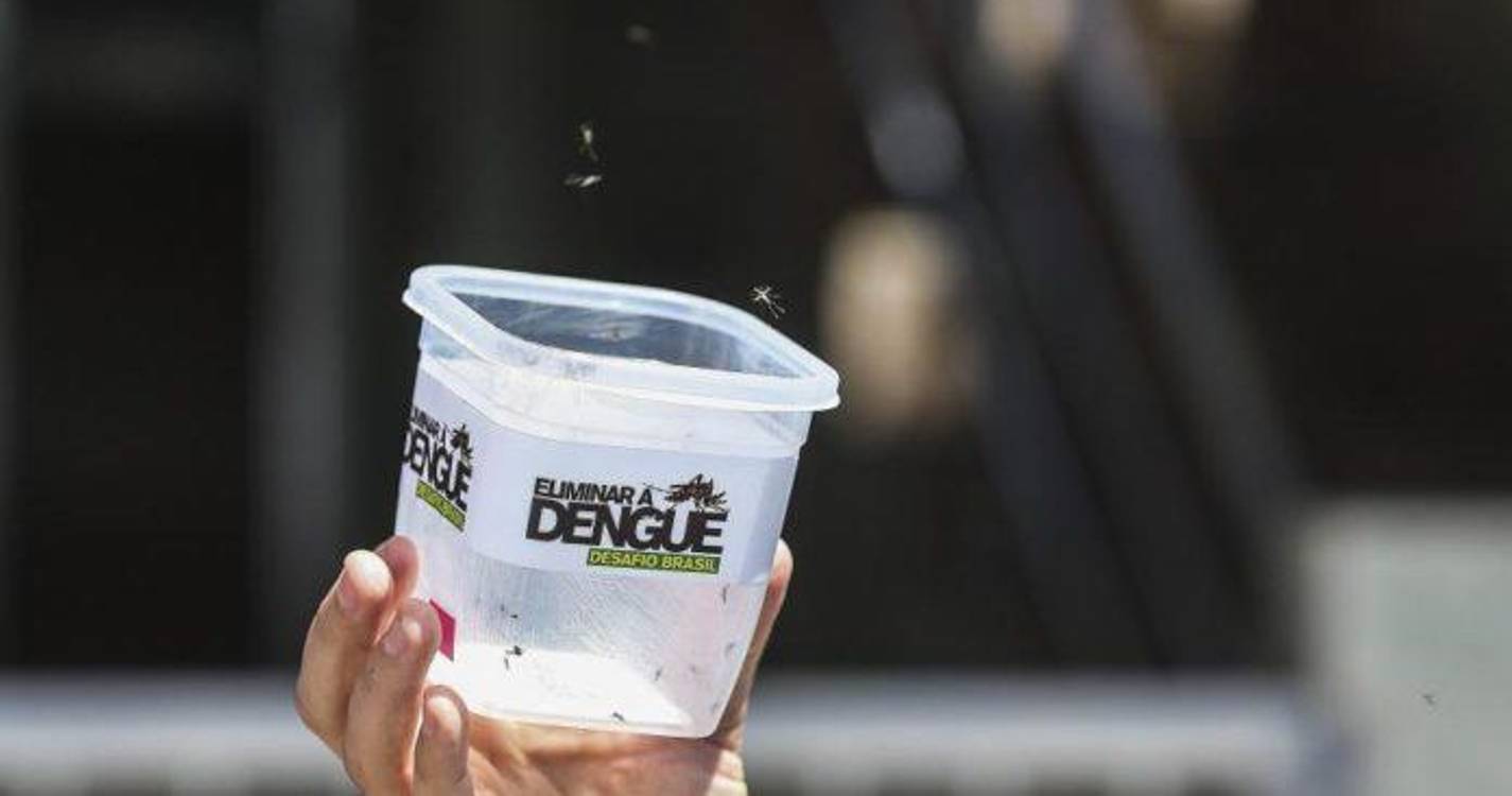 Rio de Janeiro regista recorde diário de casos de dengue
