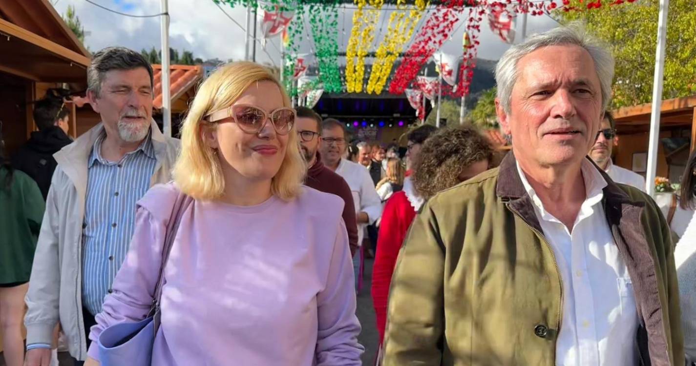 CDS-PP: Sara Madalena teme extinção da cana-de-açúcar