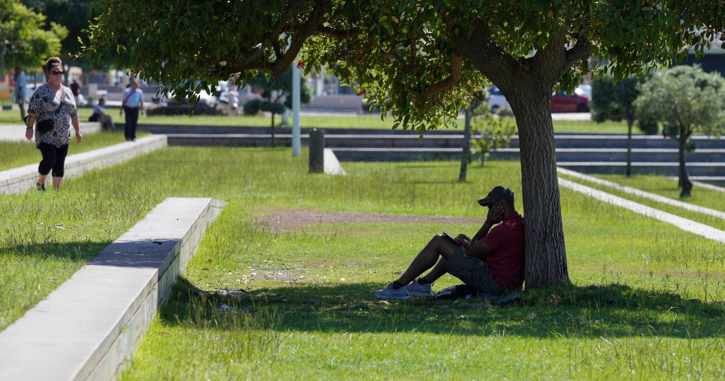 Tempo quente com alertas na Madeira