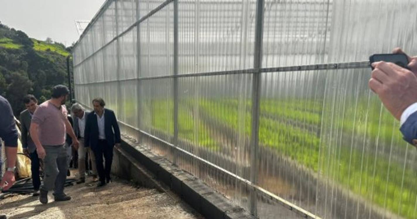 Futuro da agricultura passa pela incorporação de tecnologias nas explorações