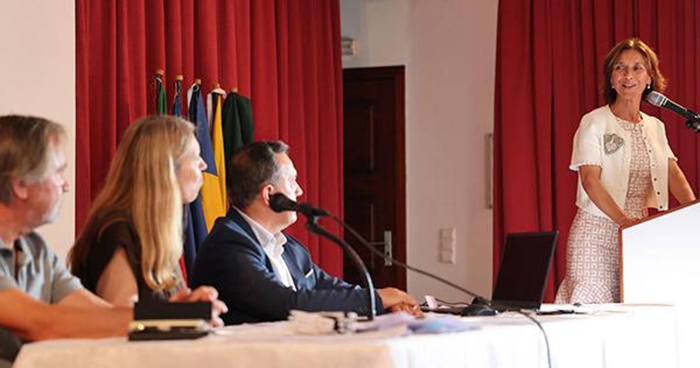 “As freguesias são o elo mais direto entre o Estado e a população”, diz Paula Margarido