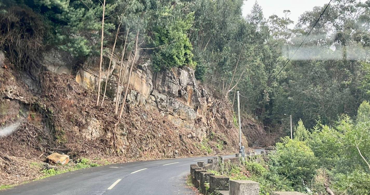 Perigo ‘à espreita’ na estrada municipal do Ribeiro Serrão (com fotos)