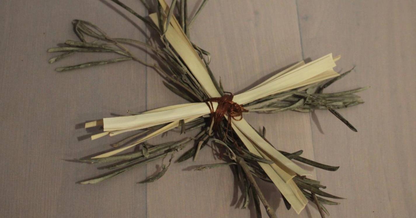 Museu Etnográfico da Madeira apresenta mais um ‘Caderno de Campo’