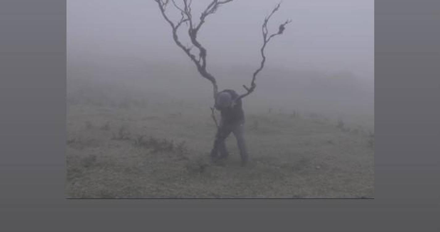 Portugal na Bienal de Design de Londres com filmes sobre Madeira e Alentejo