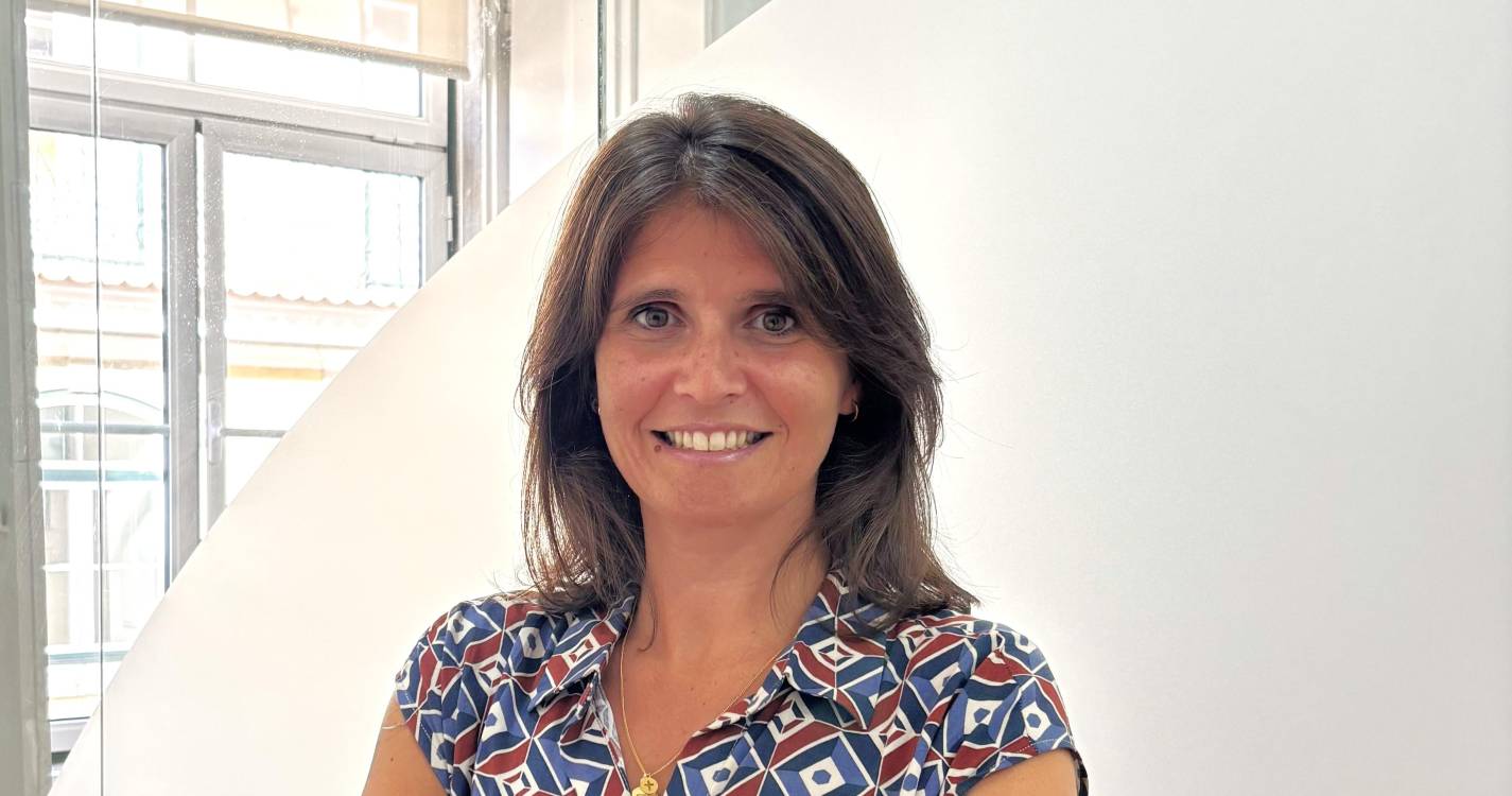 Transinsular apresenta nova identidade visual