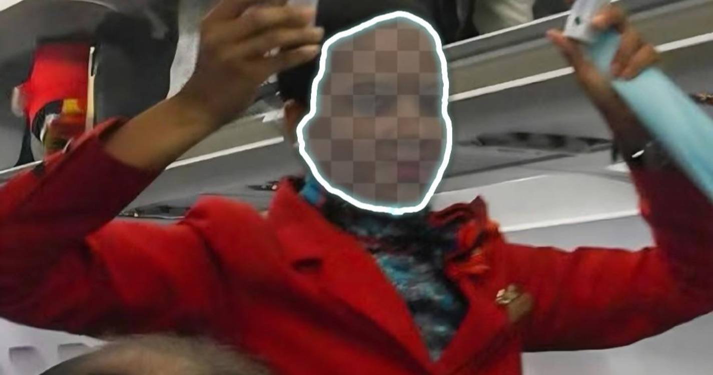 ADN questiona necessidade de desinsetizar aviões