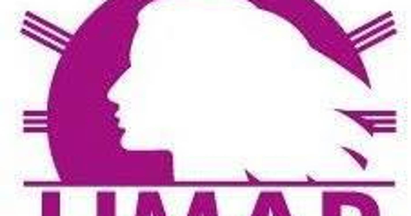 Dia Internacional dos Direitos Humanos: UMAR apela à defesa da igualdade e à prevenção da violência