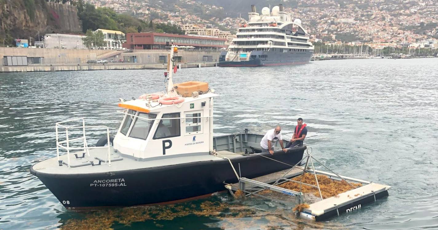 APRAM recorre a meios marítimos para recolher sargaço (com vídeo)