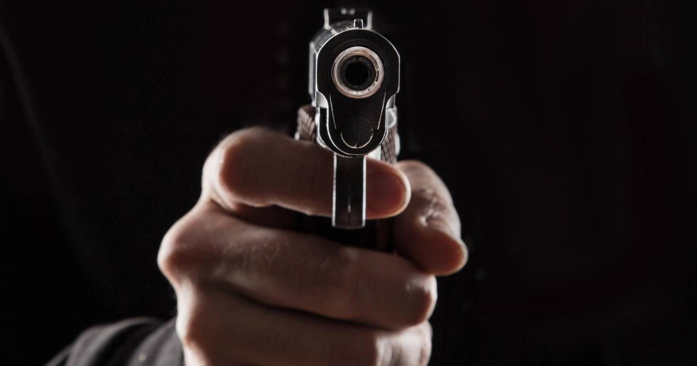 PSP apreende 24 armas e 2.038 munições com entrada ilegal em Portugal