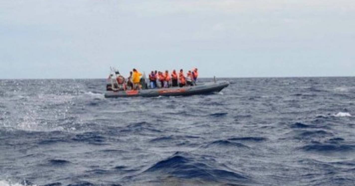 Salto de golfinho surpreende espetadores na Madeira (com fotos)