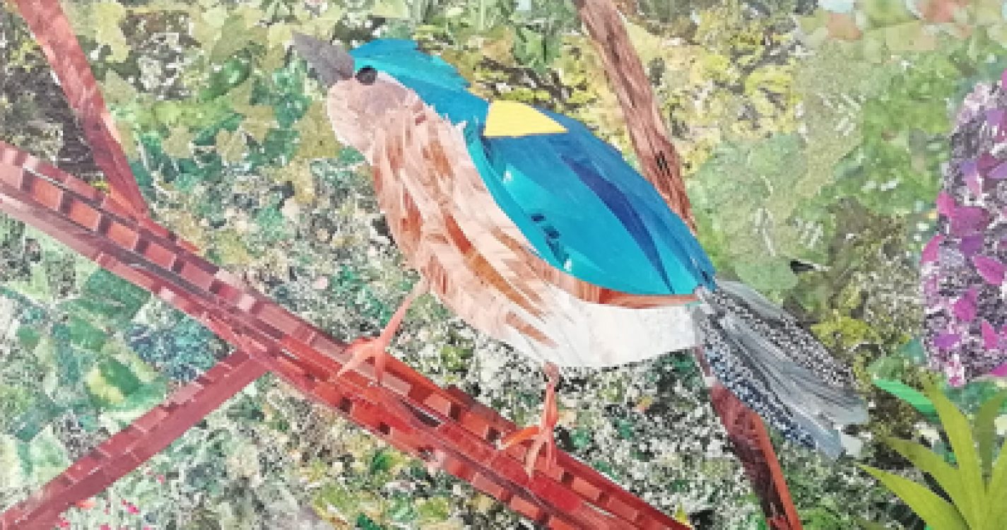 Veja os 30 trabalhos do concurso ‘Pequenos Artistas Plásticos da Madeira 2021’