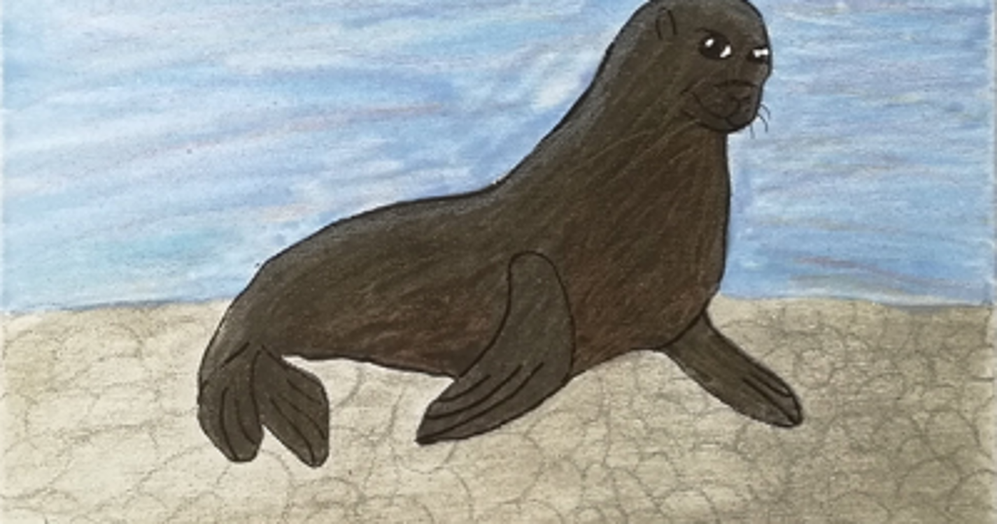 Veja os 30 trabalhos do concurso ‘Pequenos Artistas Plásticos da Madeira 2021’