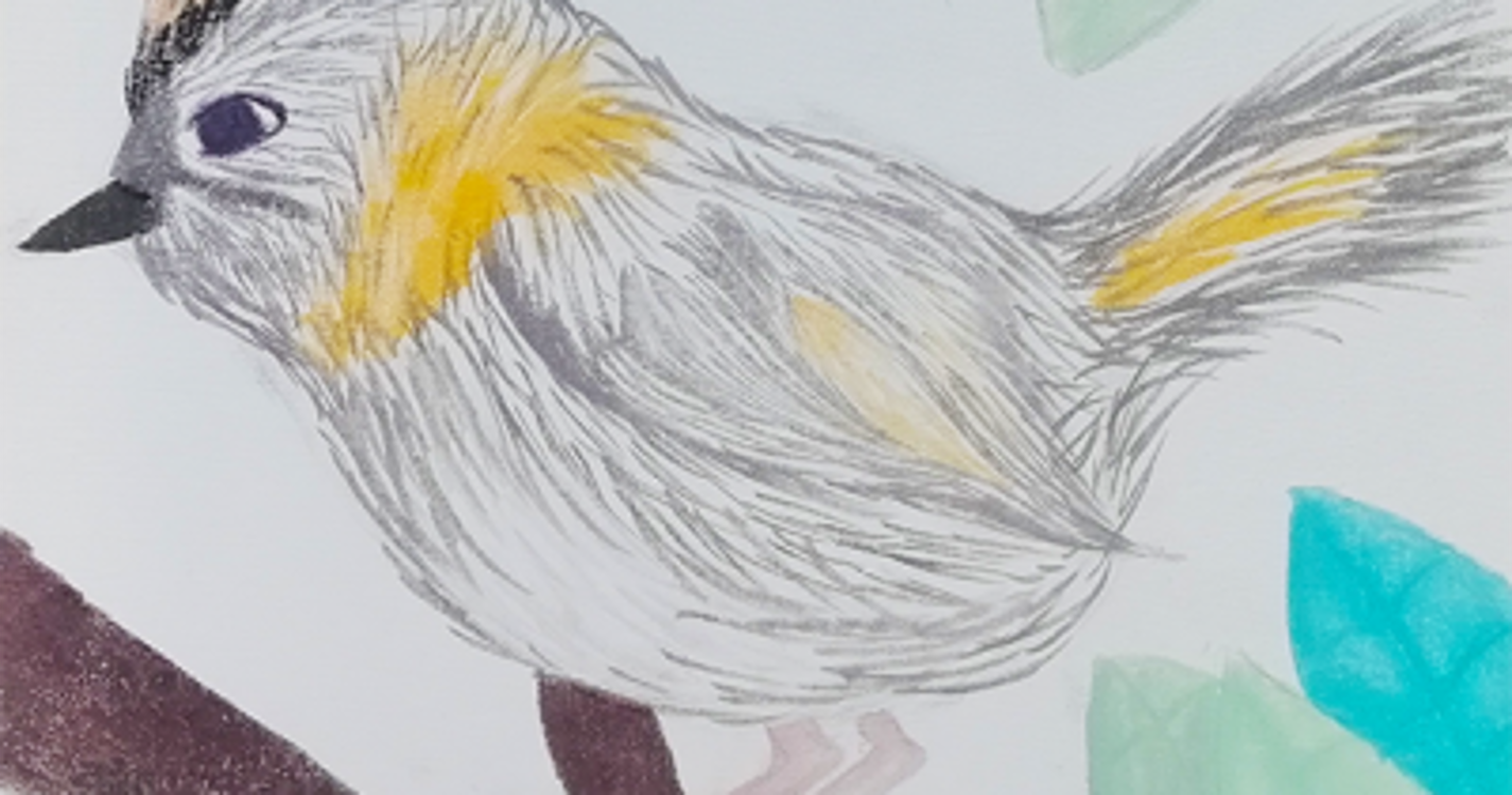 Veja os 30 trabalhos do concurso ‘Pequenos Artistas Plásticos da Madeira 2021’