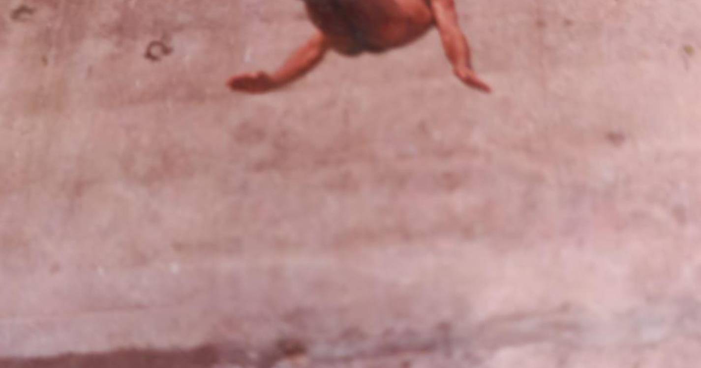 Destacou-se pelos mergulhos acrobáticos e gostava de ensinar a nadar