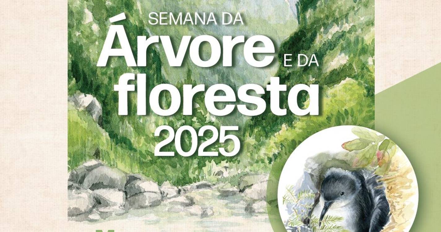 Funchal celebra Dia Mundial da Árvore e Dia Mundial da Floresta com a Semana da Árvore 2025