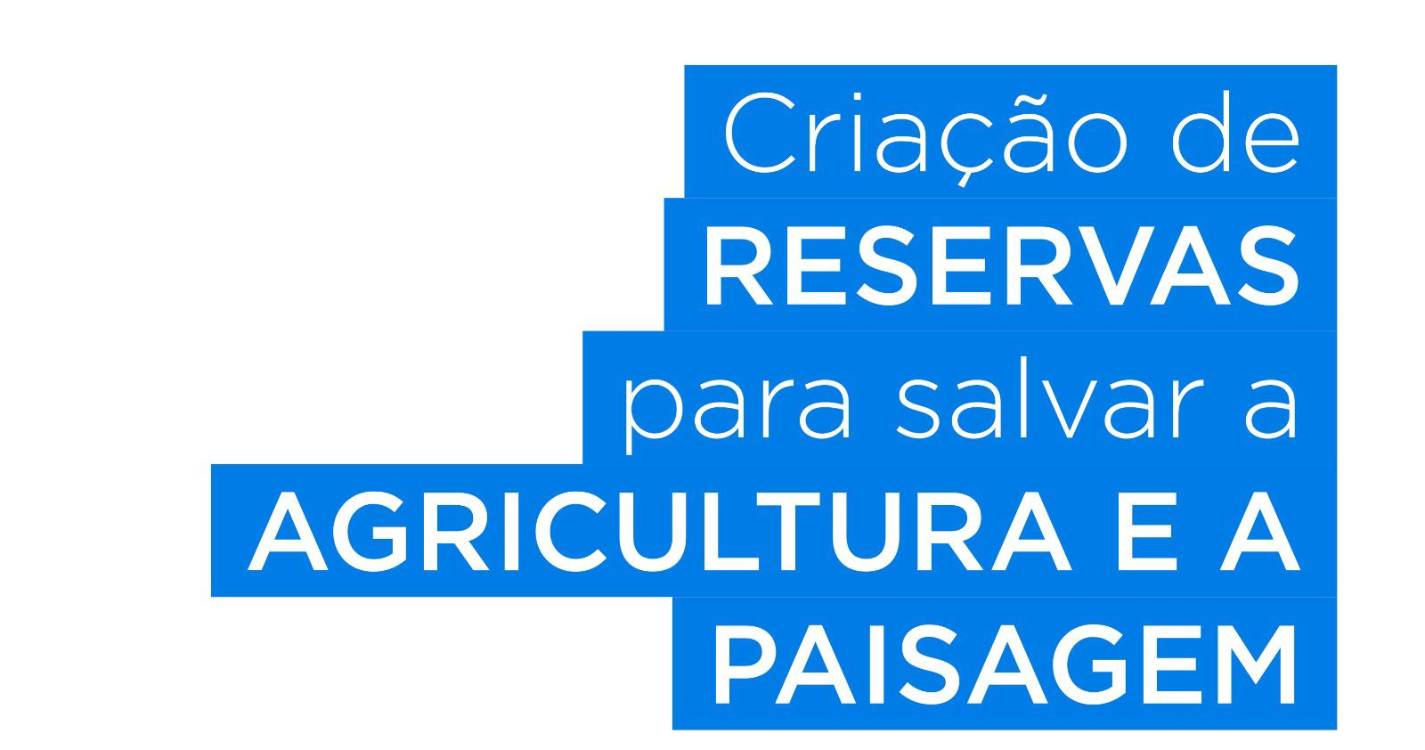 CDS pela criação de pequenas reservas agrícolas para salvaguardar paisagem