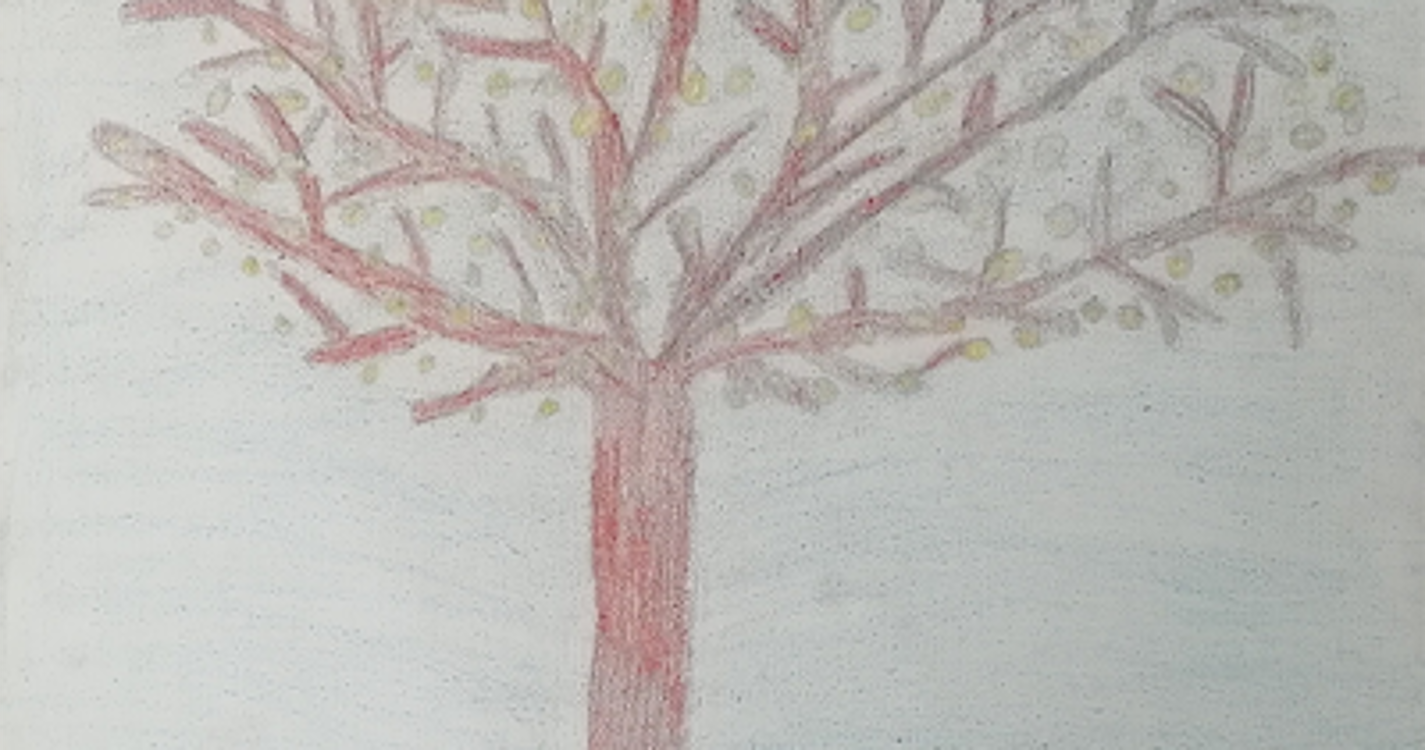 Veja os 30 trabalhos do concurso ‘Pequenos Artistas Plásticos da Madeira 2021’