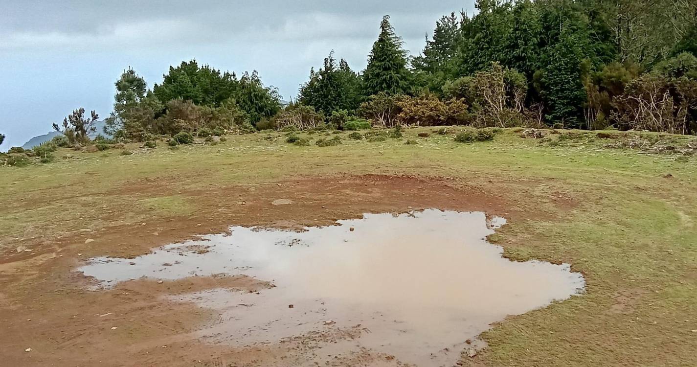 Polícia Florestal identifica condutor que fazia ‘piões’ em área florestal no Poiso