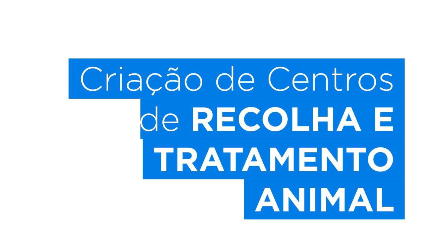 CDS defende criação de centros de recolha e tratamento animal