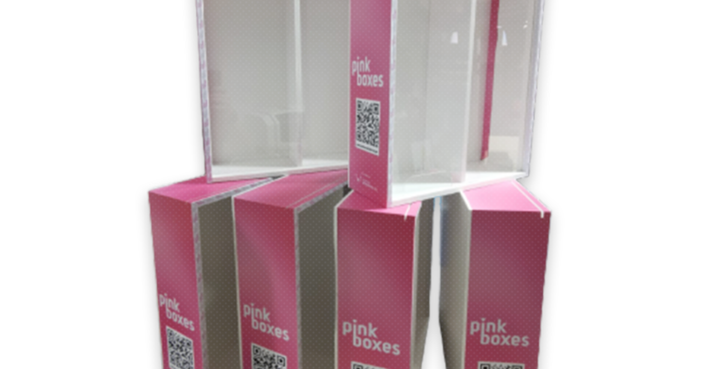 ‘Caixas Cor de Rosa’ nas escolas secundárias do Funchal facilitam acesso a produtos de higiene feminina