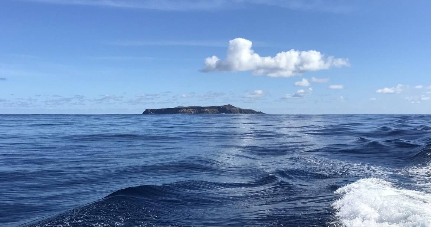 Prazo para submissão de candidaturas à open call “Atlânticos - Media Arte” termina na sexta-feira