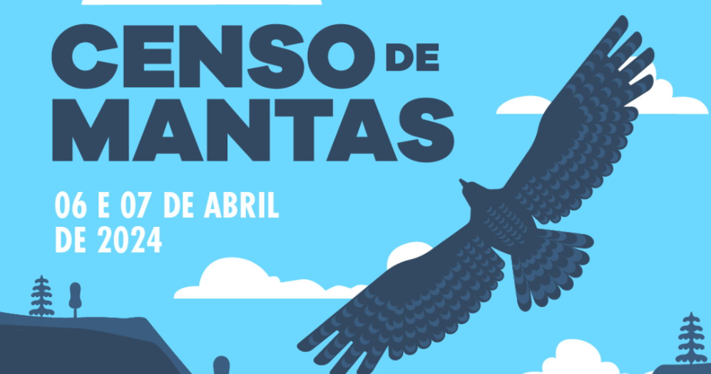 Sociedade Portuguesa para o Estudo das Aves promove Censo de Mantas