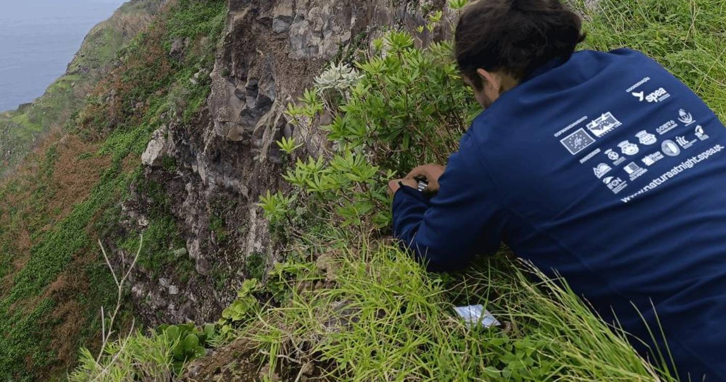 Programa LIFE na Madeira em destaque em encontro ibérico em Évora