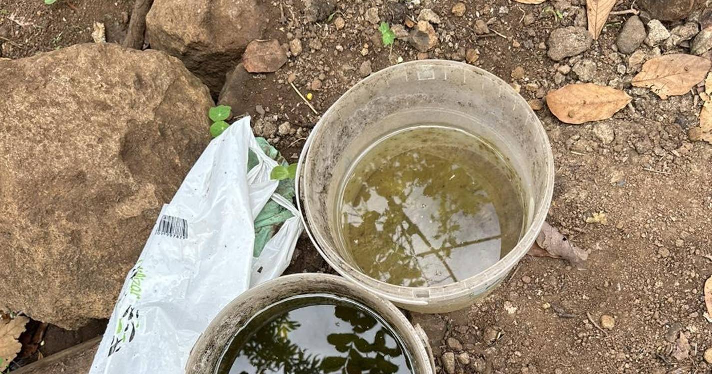 Associação resgata cão acorrentado, “magro, debilitado, sujo e cheio de pulgas” (com fotos)