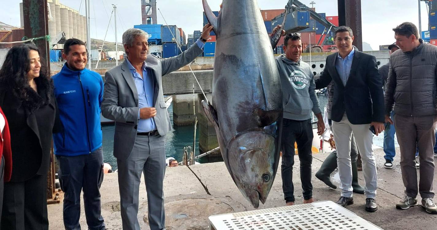 Ilhapeixe adquiriu o primeiro rabilho do ano