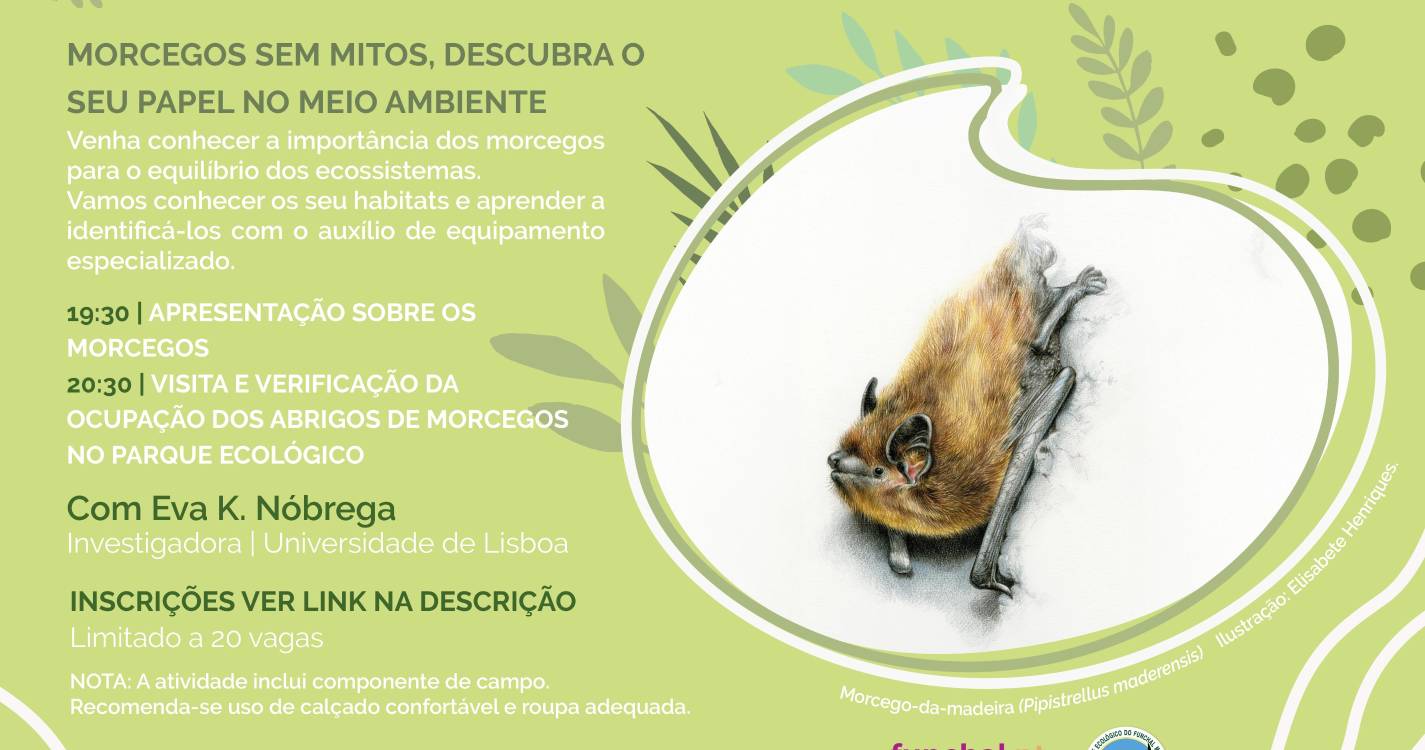 Parque Ecológico acolhe sábado uma sessão dedicada aos morcegos