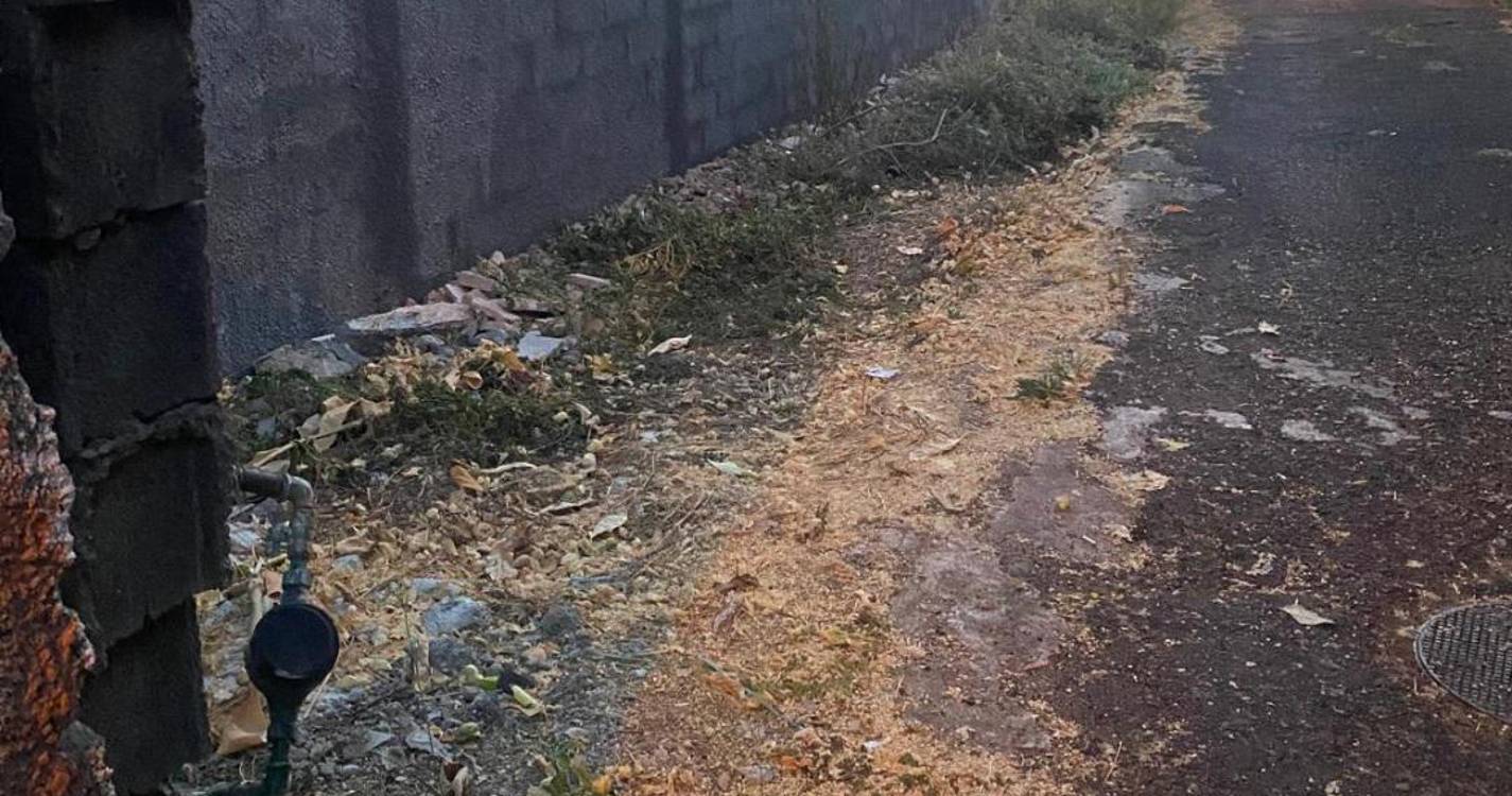 ADN queixa-se da falta de limpeza no Funchal