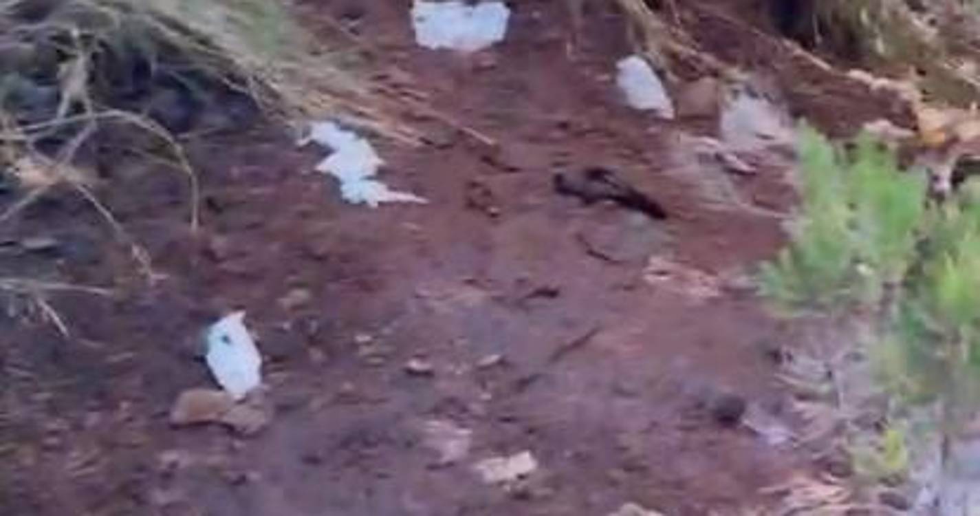 Lixo e mau cheiro indignam profissionais de turismo no Pico Ruivo (com vídeo)