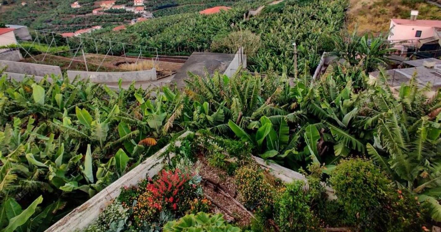 Missão do Livre no Funchal é “contrato de dignidade e futuro”