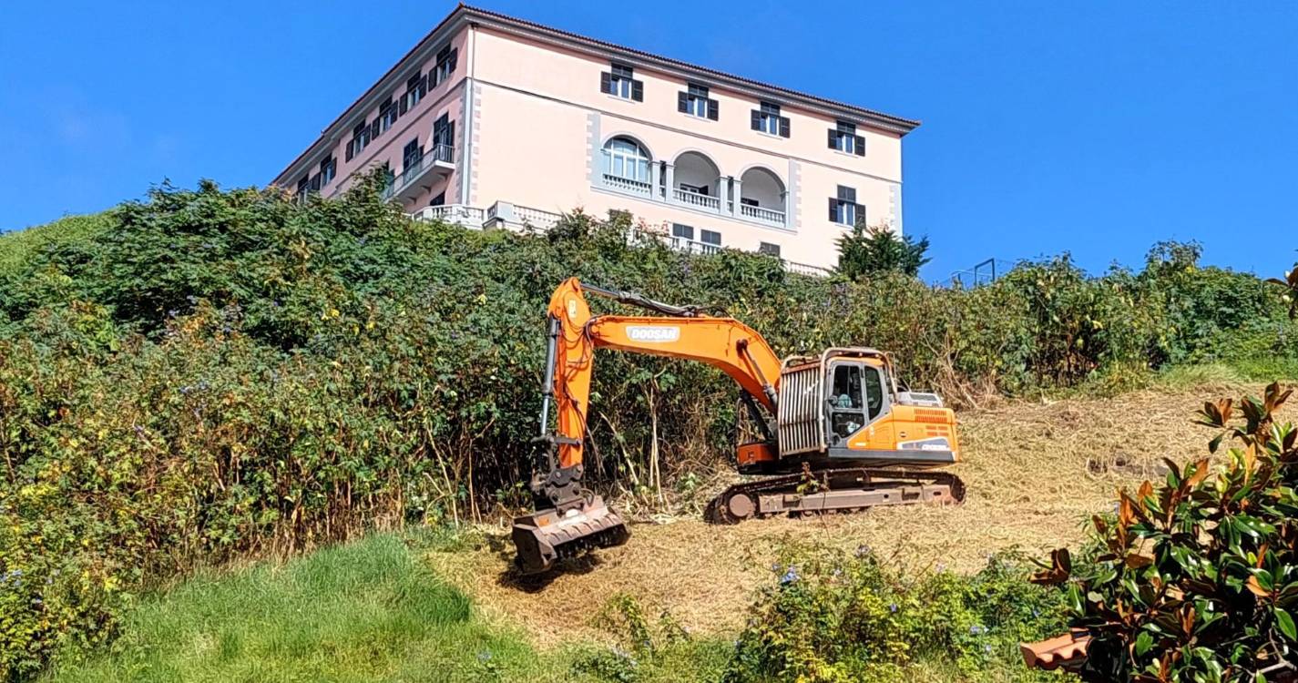 RIR satisfeito por ações de limpeza nos terrenos junto ao Hospital dos Marmeleiros