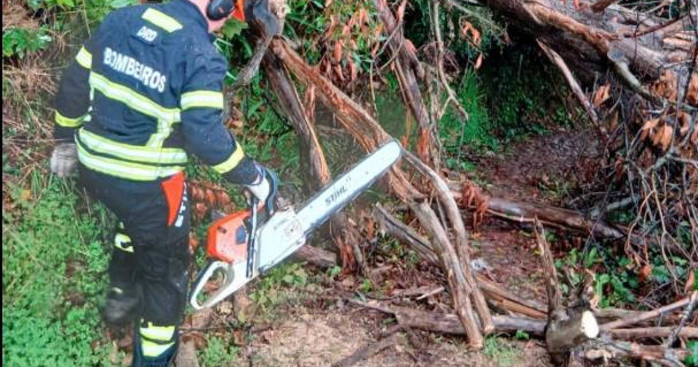 “Depressão Regina” provoca 37 ocorrências em Santa Cruz nas últimas 24 horas