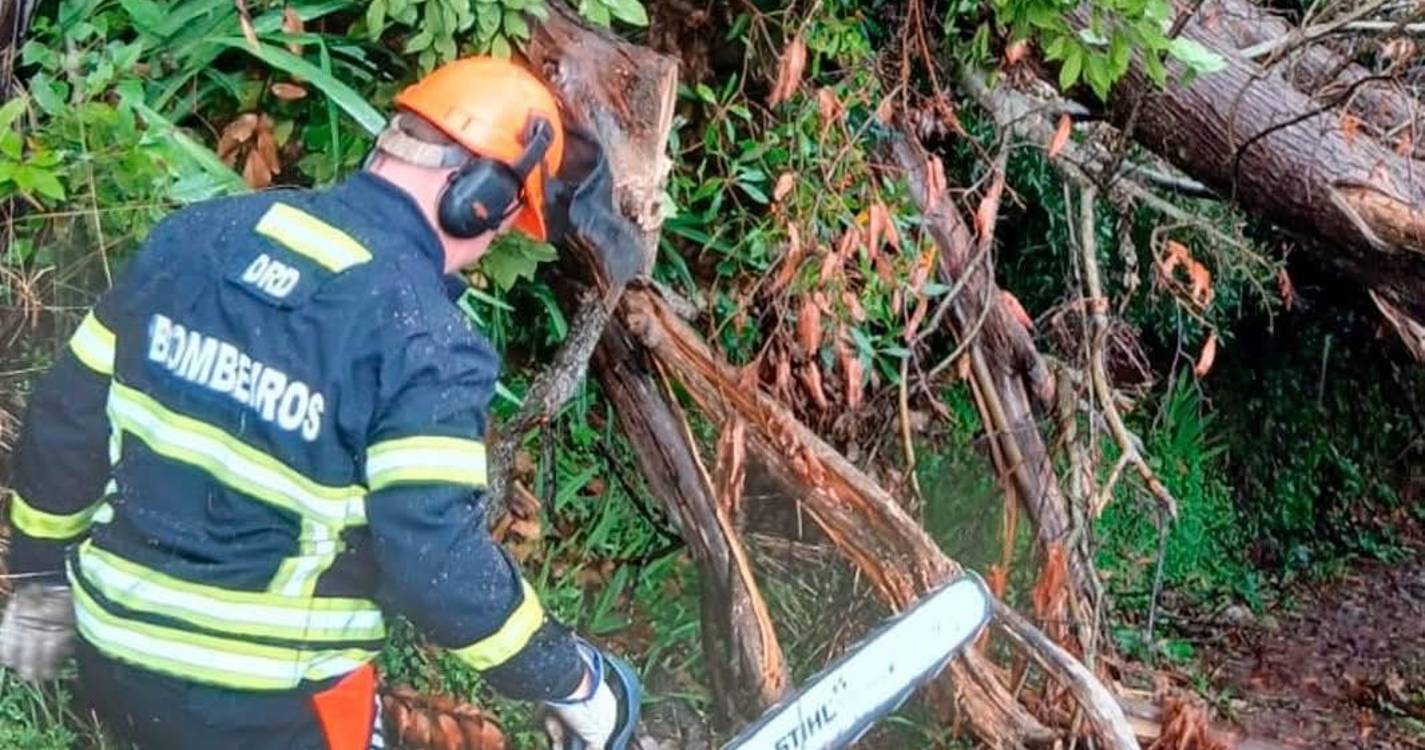 ‘Francis’ provoca uma dezena de ocorrências na Madeira