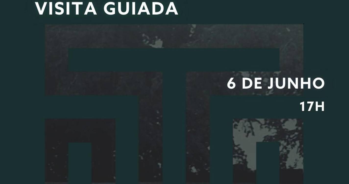 Galeria Tratuário apresenta ‘Late Night’ esta sexta-feira