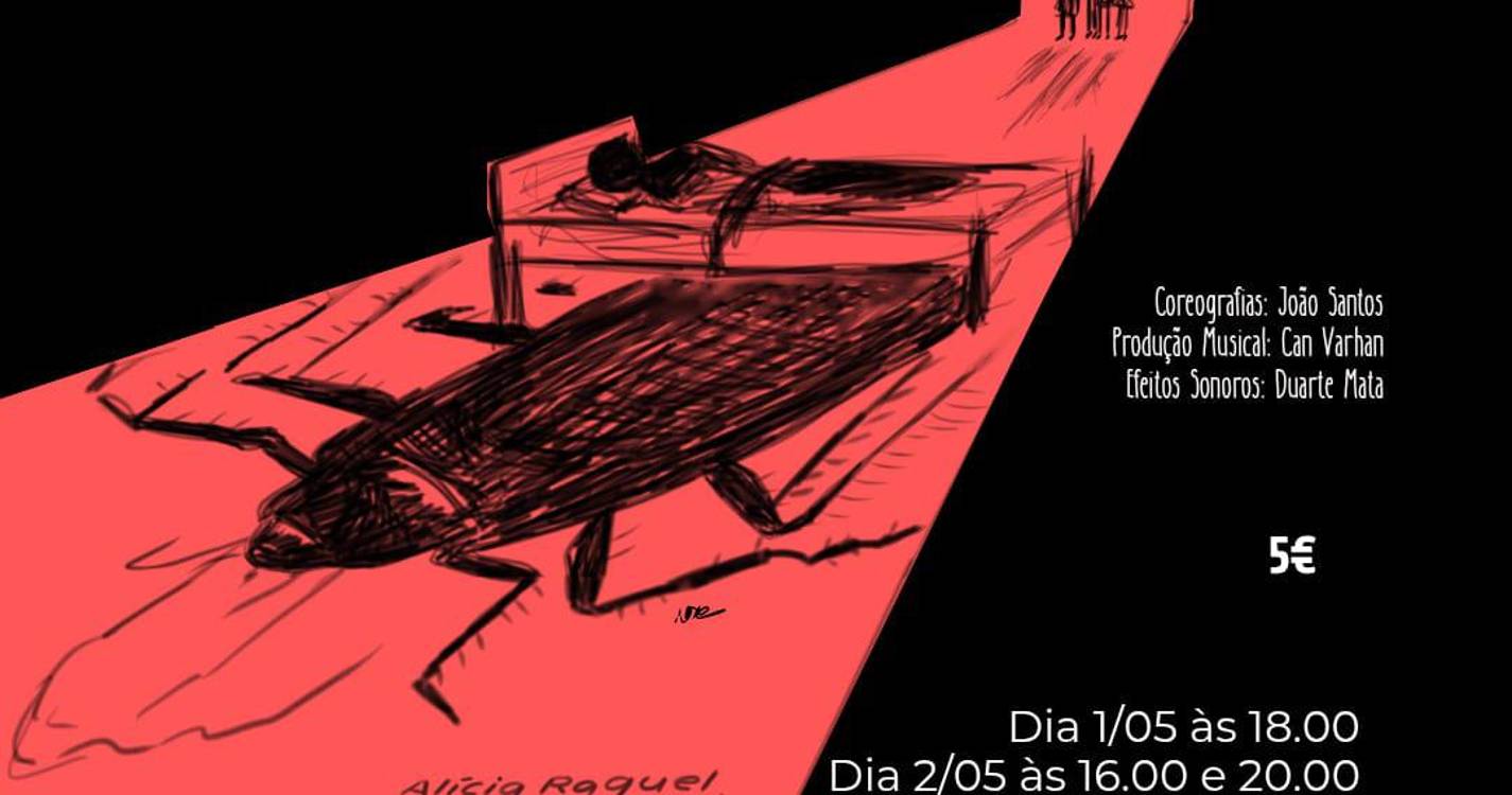 Associação Palco Vazio apresenta ‘A Metamorfose’ em Câmara de Lobos