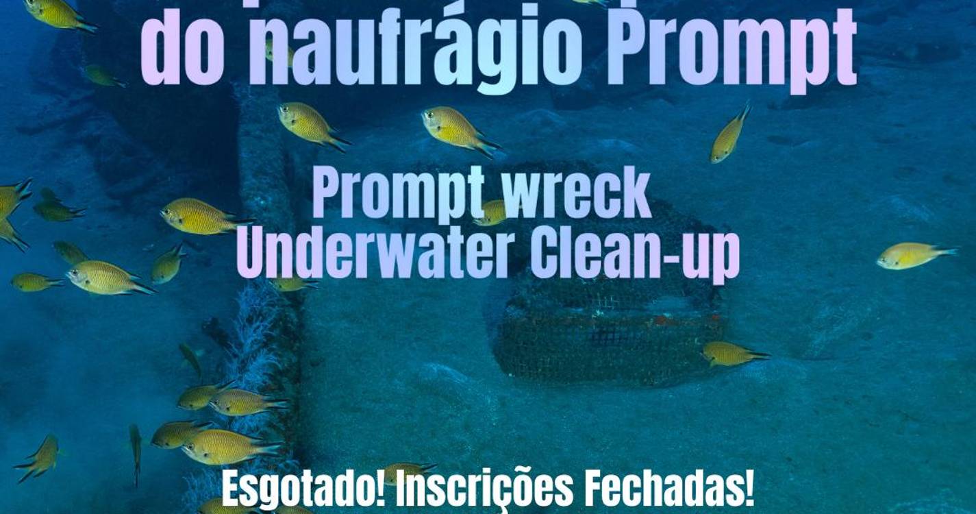 Centro de Estudos de Arqueologia realiza limpeza subaquática ao naufrágio do navio Prompt