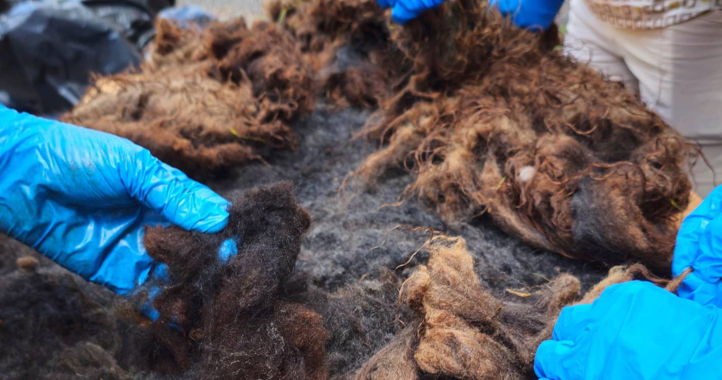 IVBAM promove oficina para descobrir a arte da lã